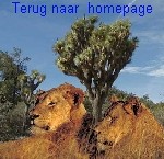 Terug naar homepage